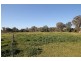 Lot 10,  Waterworks Road, Mudgee NSW 2850