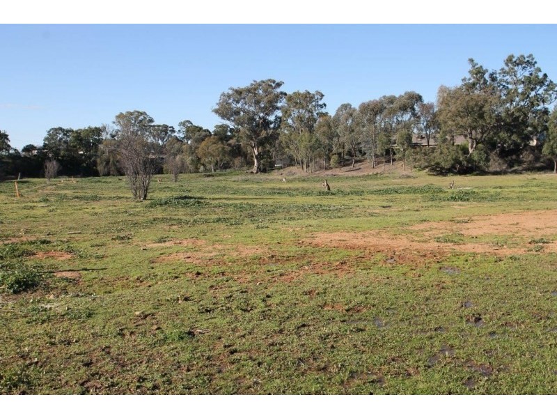 Lot 10,  Waterworks Road, Mudgee NSW 2850