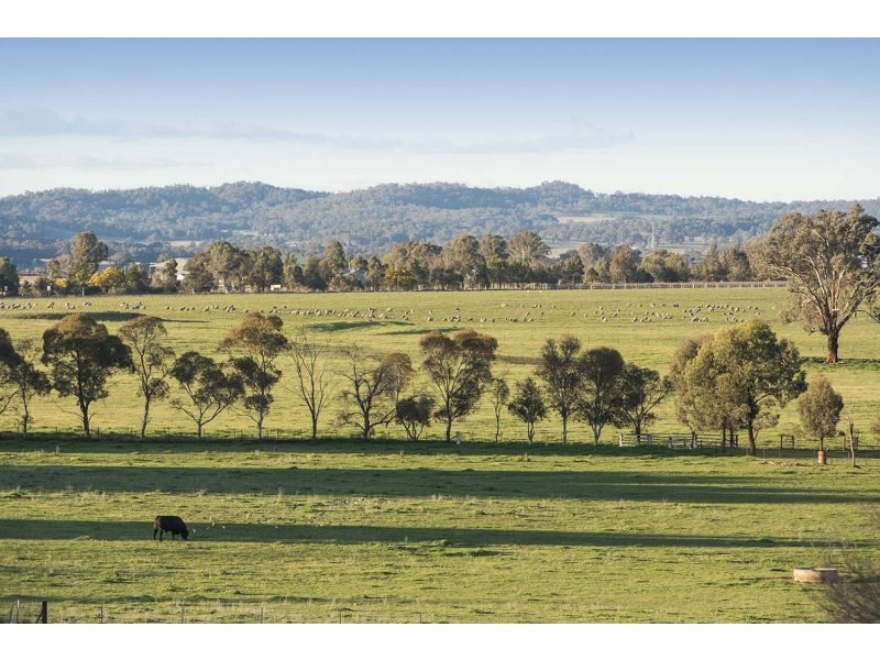 Mudgee NSW 2850