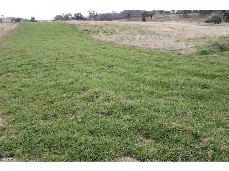 Lot 3, 1733 Lower Piambong Road, Mudgee NSW 2850
