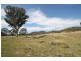 1737 Lower Piambong Road, Mudgee NSW 2850