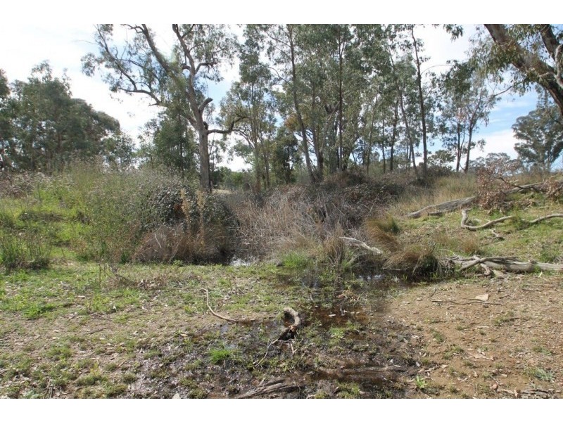 1737 Lower Piambong Road, Mudgee NSW 2850