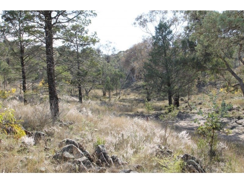 705 Windeyer Road, Mudgee NSW 2850