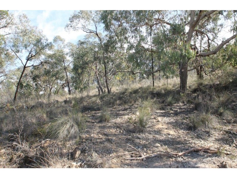 705 Windeyer Road, Mudgee NSW 2850