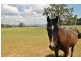 Lot 1, 277  Black Springs Road, Mudgee NSW 2850