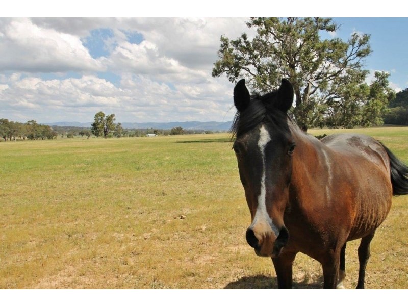 Lot 1, 277  Black Springs Road, Mudgee NSW 2850