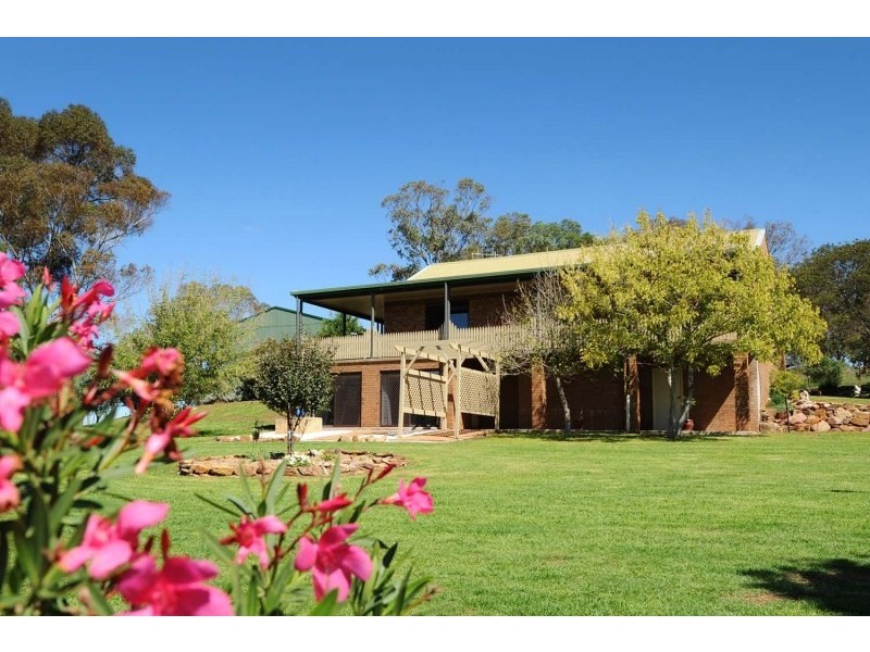 57 Cunningham Lane, Gulgong NSW 2852