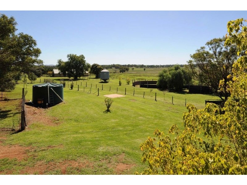 57 Cunningham Lane, Gulgong NSW 2852