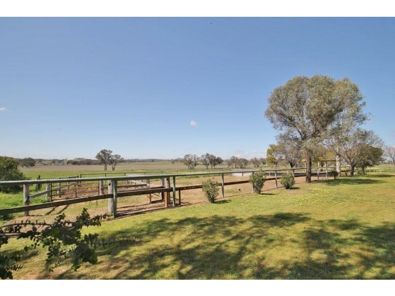 57 Cunningham Lane, Gulgong NSW 2852