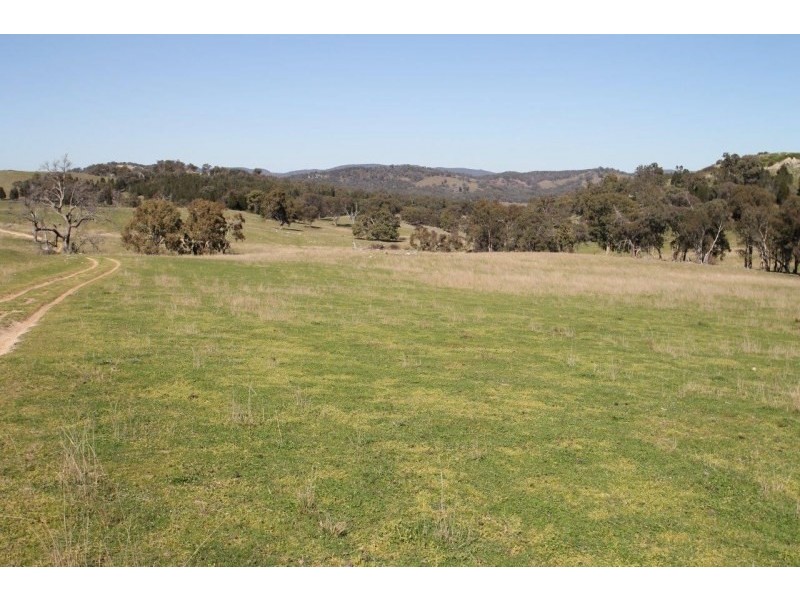 Lot 7, 55, 56,, 874 Bara Road, Mudgee NSW 2850