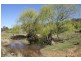 Lot 7, 55, 56,, 874 Bara Road, Mudgee NSW 2850