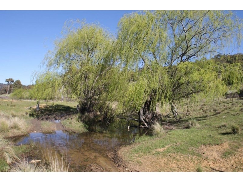 Lot 7, 55, 56,, 874 Bara Road, Mudgee NSW 2850