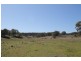 Lot 7, 55, 56,, 874 Bara Road, Mudgee NSW 2850