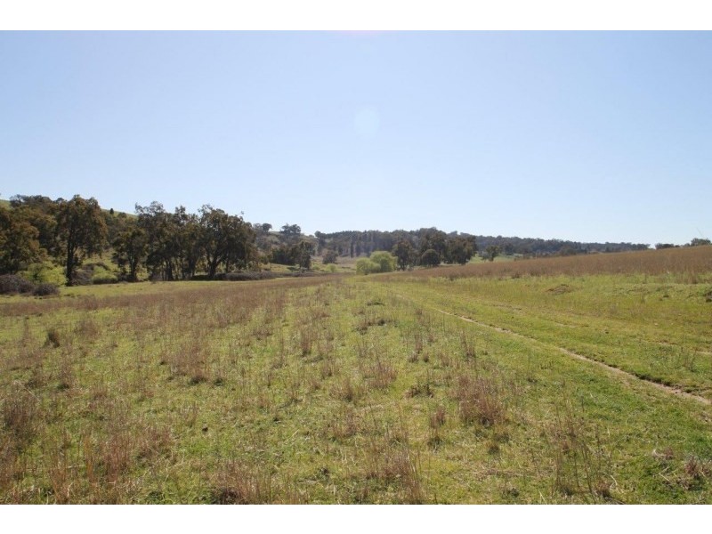 Lot 7, 55, 56,, 874 Bara Road, Mudgee NSW 2850