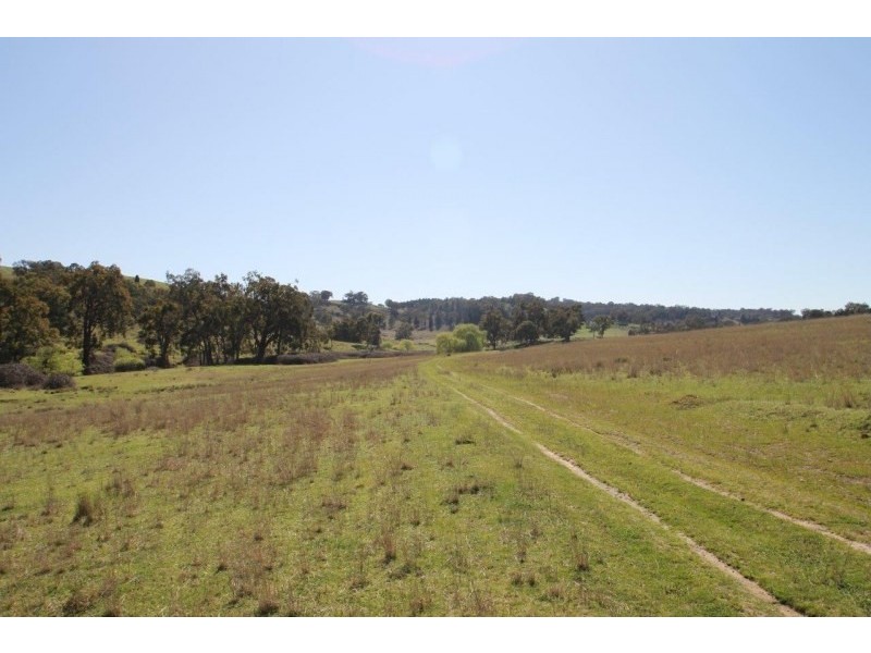 Lot 7, 55, 56,, 874 Bara Road, Mudgee NSW 2850