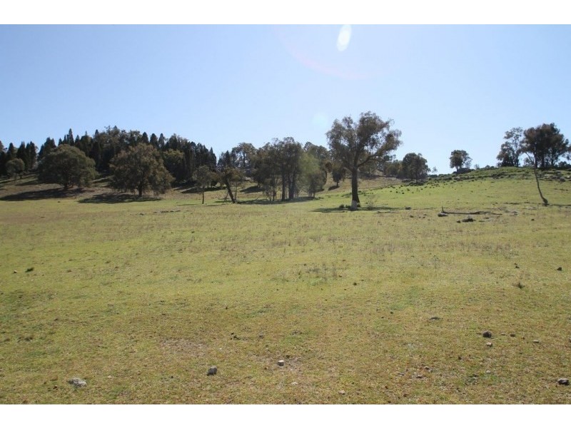Lot 7, 55, 56,, 874 Bara Road, Mudgee NSW 2850