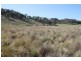 Lot 7, 55, 56,, 874 Bara Road, Mudgee NSW 2850
