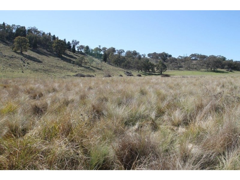 Lot 7, 55, 56,, 874 Bara Road, Mudgee NSW 2850