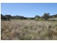Lot 7, 55, 56,, 874 Bara Road, Mudgee NSW 2850