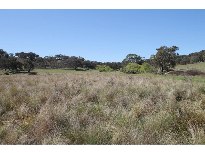 Lot 7, 55, 56,, 874 Bara Road, Mudgee NSW 2850