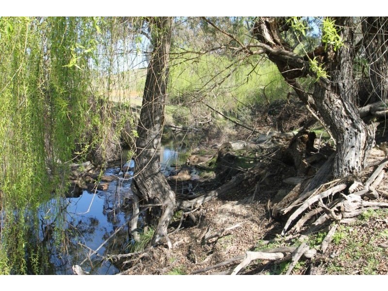 Lot 7, 55, 56,, 874 Bara Road, Mudgee NSW 2850