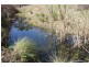Lot 7, 55, 56,, 874 Bara Road, Mudgee NSW 2850