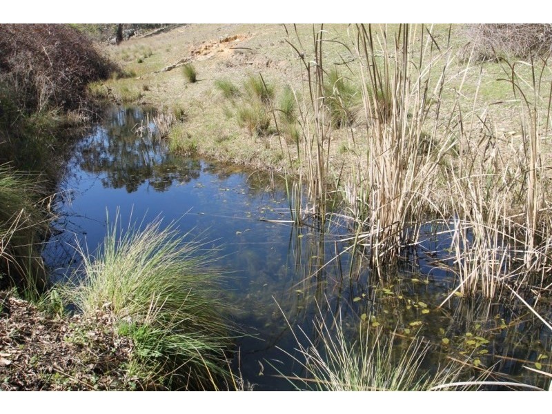 Lot 7, 55, 56,, 874 Bara Road, Mudgee NSW 2850