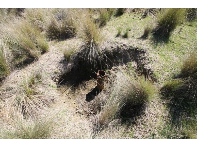 Lot 7, 55, 56,, 874 Bara Road, Mudgee NSW 2850