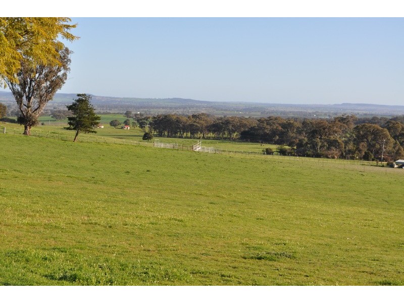 98 Norris Lane, Mudgee NSW 2850