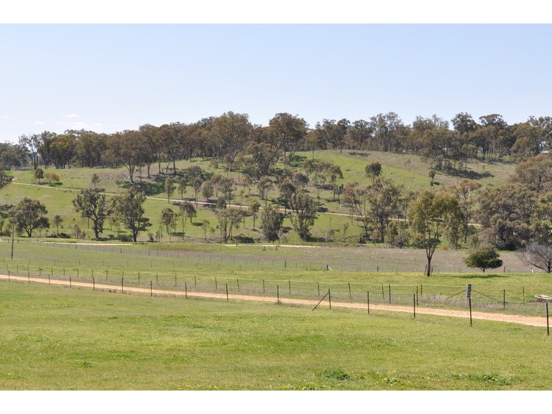 98 Norris Lane, Mudgee NSW 2850