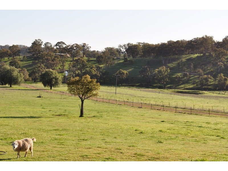 98 Norris Lane, Mudgee NSW 2850