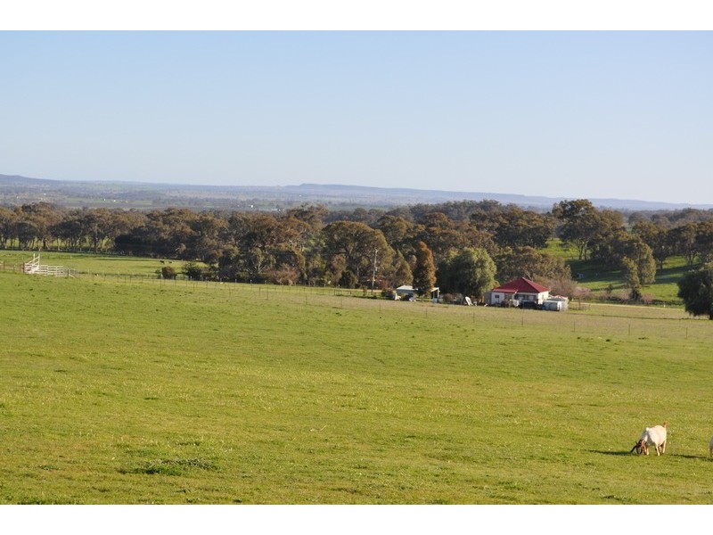 98 Norris Lane, Mudgee NSW 2850