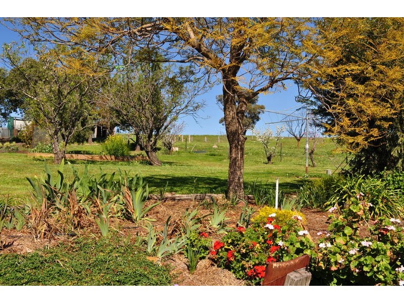 98 Norris Lane, Mudgee NSW 2850