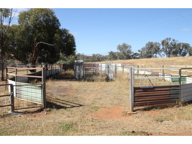 98 Norris Lane, Mudgee NSW 2850