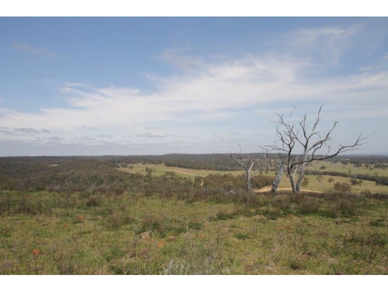 239 Upper Botobolar Road, Mudgee NSW 2850