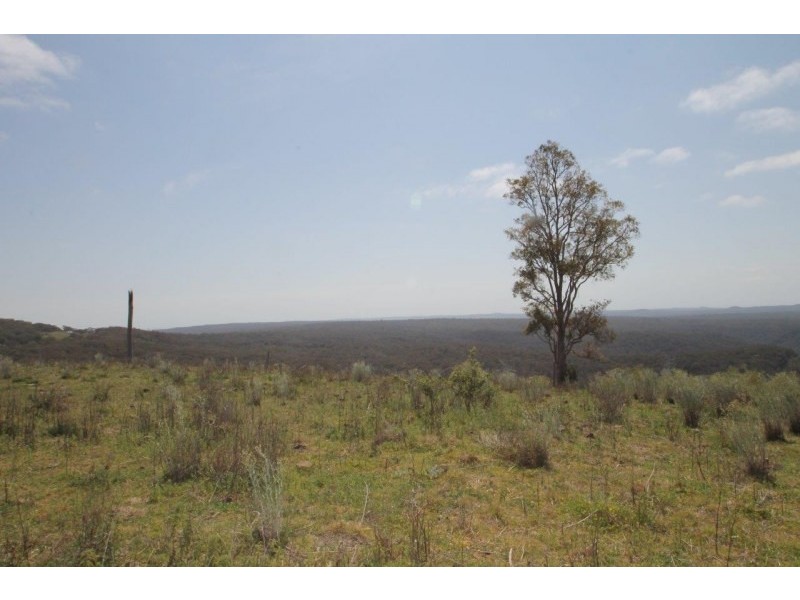 239 Upper Botobolar Road, Mudgee NSW 2850