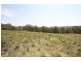 239 Upper Botobolar Road, Mudgee NSW 2850