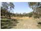 239 Upper Botobolar Road, Mudgee NSW 2850
