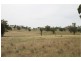 251 Pinelea Road, Goolma NSW 2852