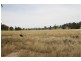 251 Pinelea Road, Goolma NSW 2852