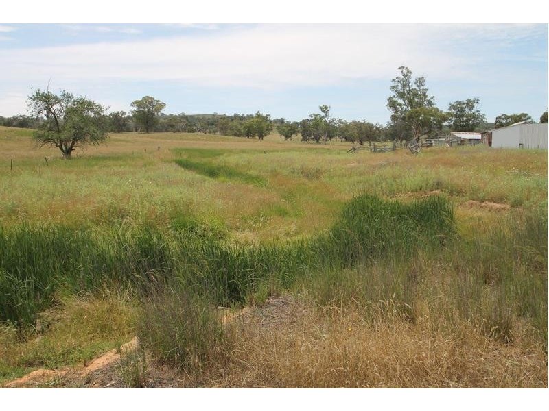 251 Pinelea Road, Goolma NSW 2852