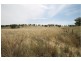 251 Pinelea Road, Goolma NSW 2852