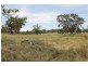 251 Pinelea Road, Goolma NSW 2852
