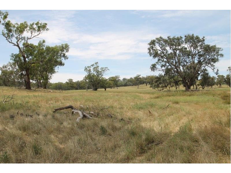 251 Pinelea Road, Goolma NSW 2852