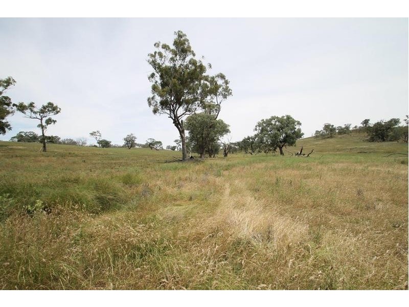 251 Pinelea Road, Goolma NSW 2852