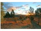 Mudgee NSW 2850