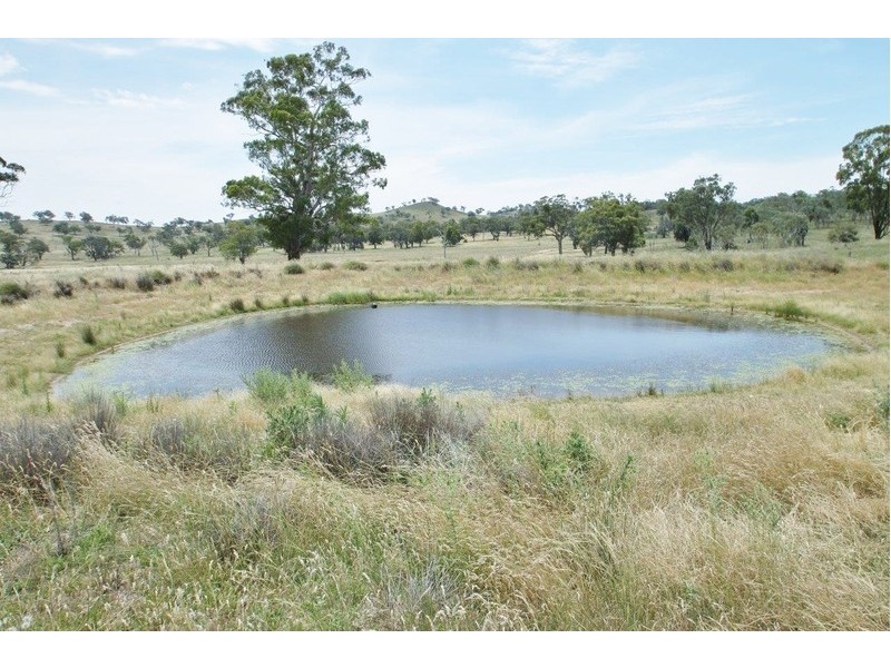 Lot 39 & 77,  Pinelea Road, Goolma NSW 2852