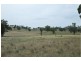Lot 39 & 77,  Pinelea Road, Goolma NSW 2852