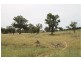 Lot 39 & 77,  Pinelea Road, Goolma NSW 2852