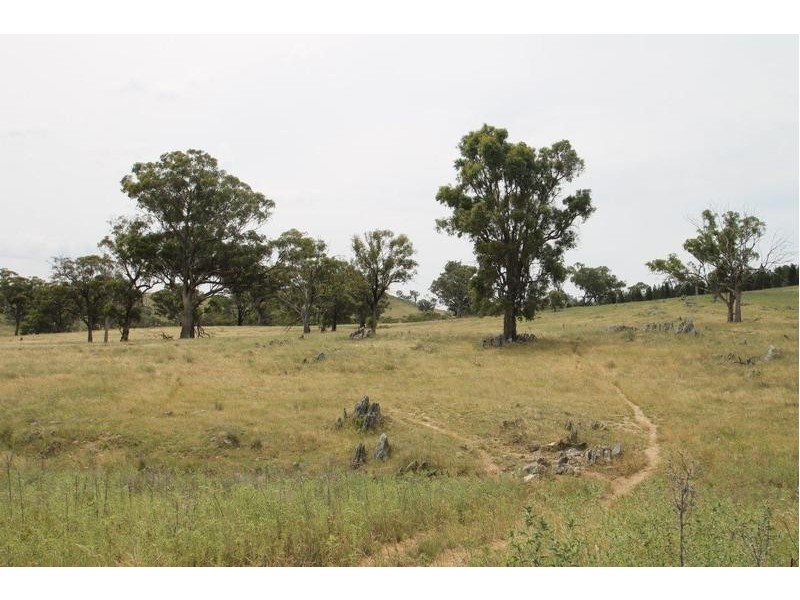 Lot 39 & 77,  Pinelea Road, Goolma NSW 2852
